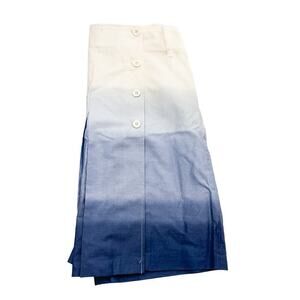 INC Ombre A Line Skirt Pleated 100% Cotton Blue Tones Size 4